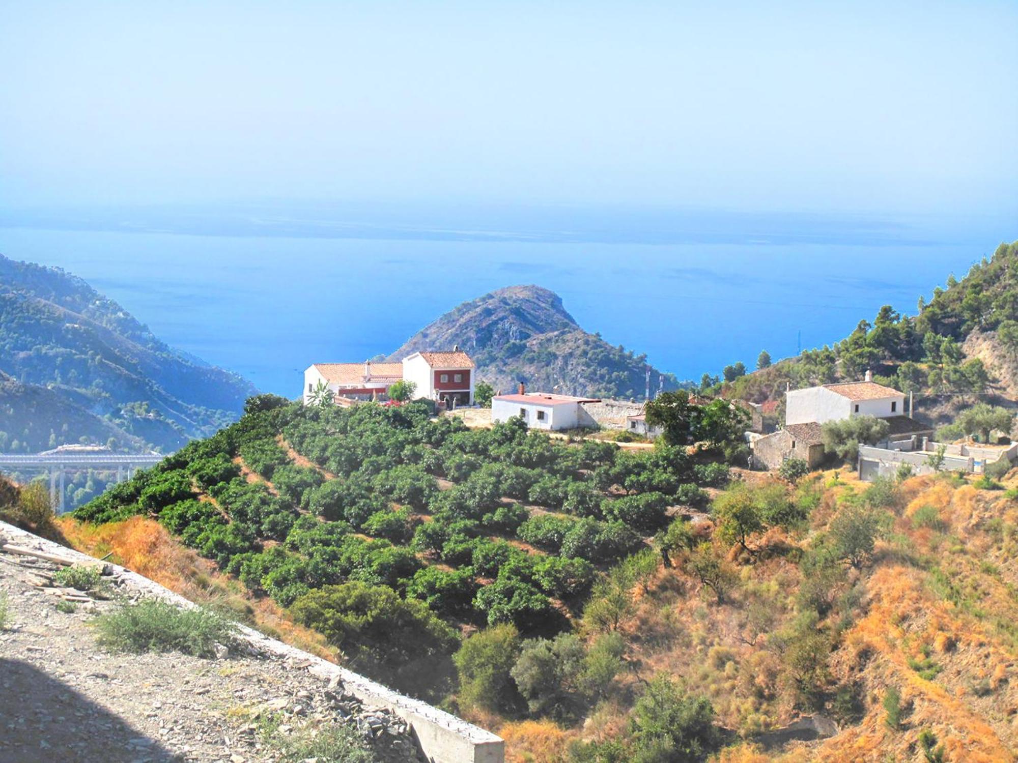 Villa Francisca Малага Екстериор снимка