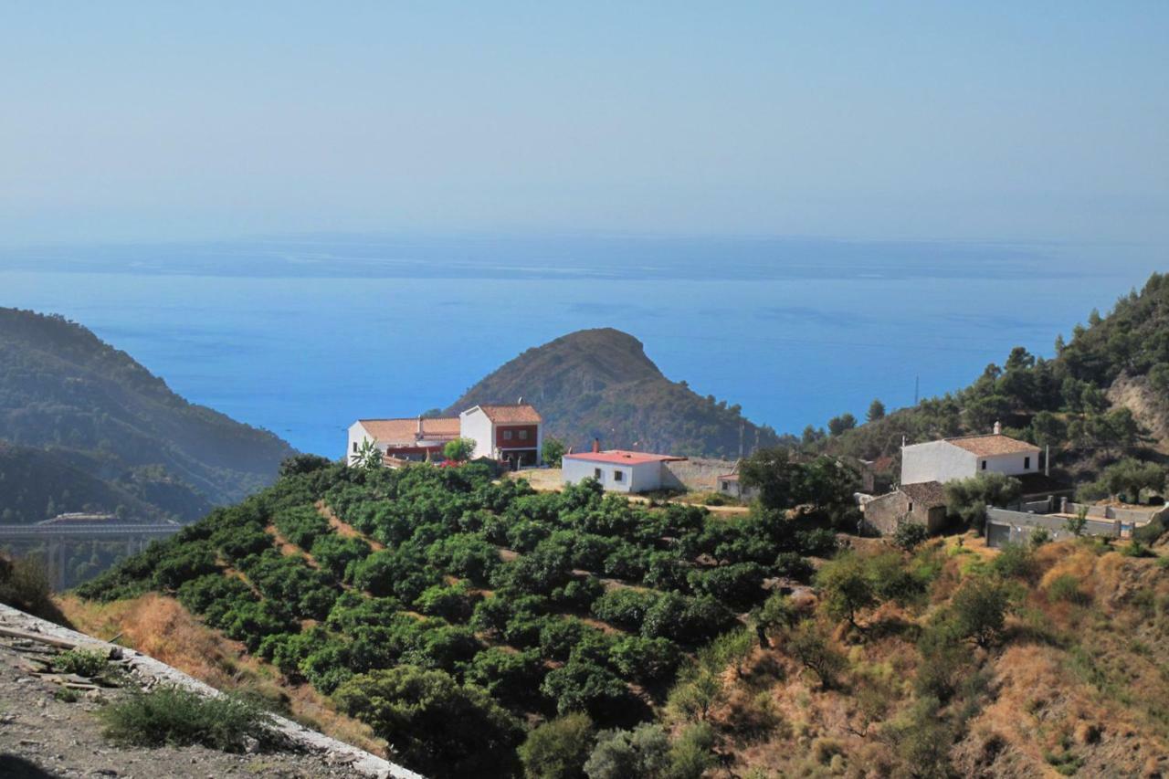 Villa Francisca Малага Екстериор снимка